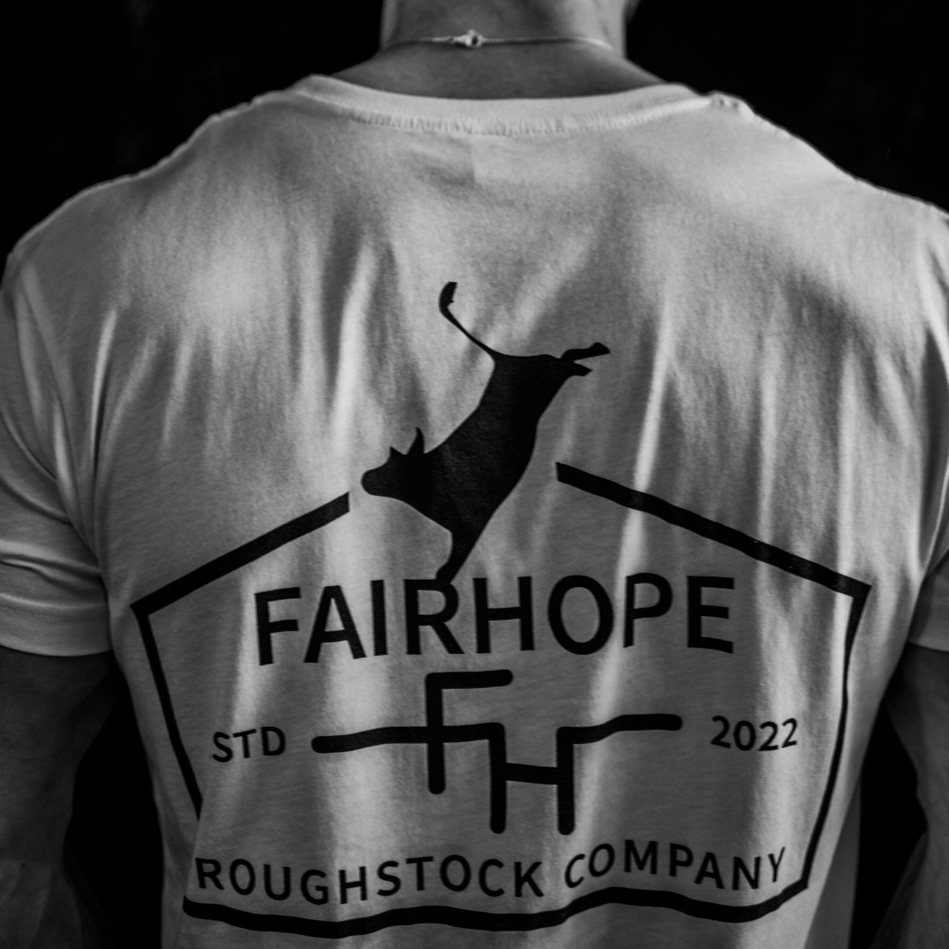 “The Easy Rider” - Fairhope Roughstock Company